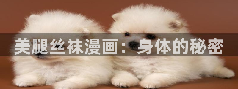 韩漫汗汗漫画免费：美腿丝袜漫画：身体的秘密