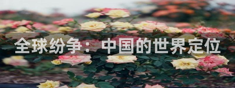 汗汗漫画妖精漫画：全球纷争：中国的世界定位