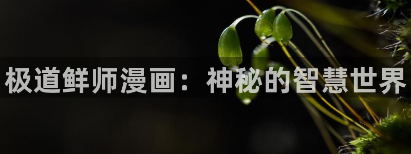 汗汗漫画ssss