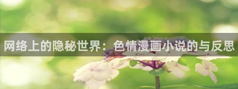 歪歪漫画 汗汗漫画：网络上的隐秘世界：色情漫画小说的与反思