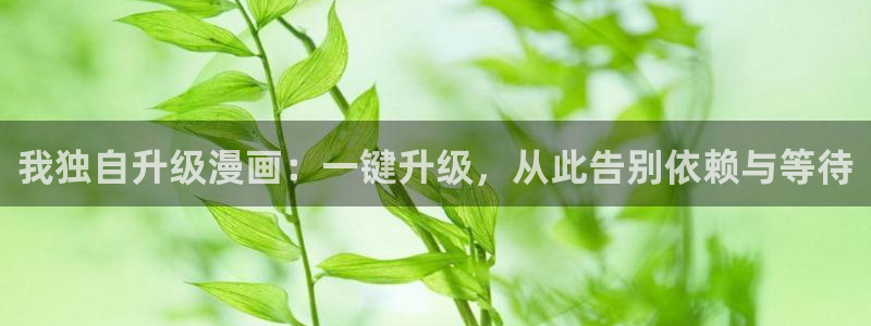 汗汗漫画排行榜：我独自升级漫画：一键升级，从此告别依赖与等待