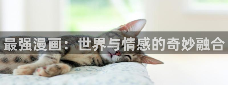 汗汗漫画官：最强漫画：世界与情感的奇妙融合