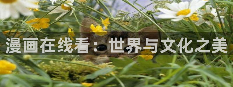 汗汗漫画在线阅读免费版：漫画在线看：世界与文化之美