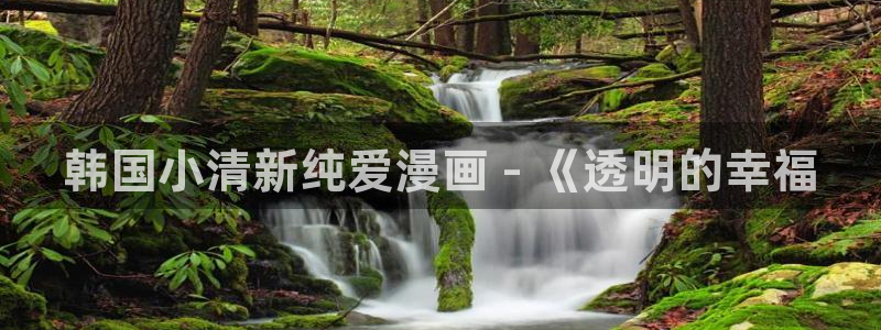 g汗汗漫画：韩国小清新纯爱漫画 - 《透明的幸福