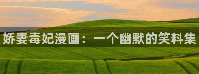 歪歪汗汗漫画ssss：娇妻毒妃漫画：一个幽默的笑料集
