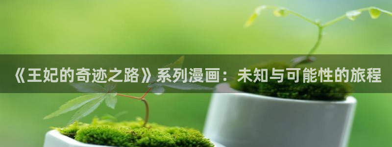 汗汗漫画大全免费版：《王妃的奇迹之路》系列漫画：未知与可能性的旅程