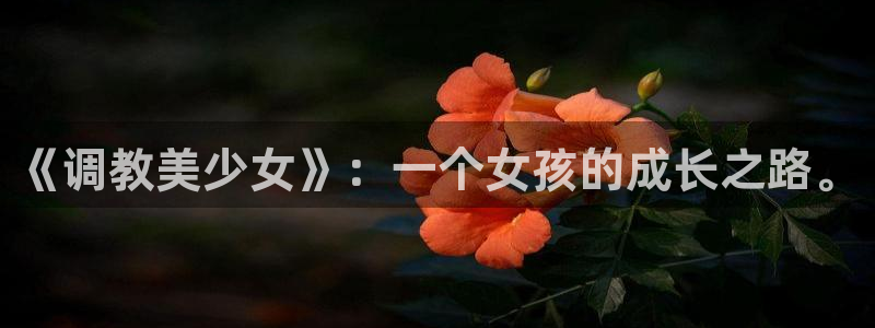 汗汗漫画网在线