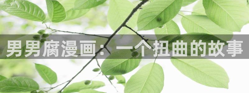 羞羞漫画,汗汗漫画歪歪漫画：男男腐漫画：一个扭曲的故事