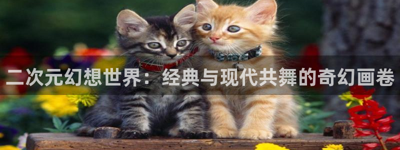 虎虎漫画 汗汗漫画：二次元幻想世界：经典与现代共舞的奇幻画卷